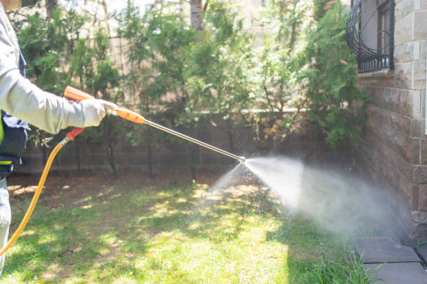 Best Affordable Pest Control Services  in Iselin, NJ